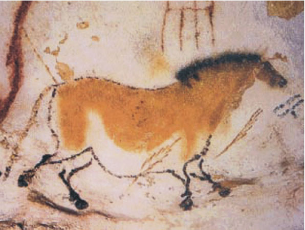 Peinture rupestre de la grotte de Lascaux, France (15 000 à 18 000 ans)